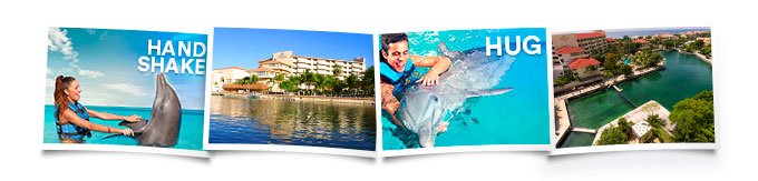 Swim with Dolphins in Riviera Maya
