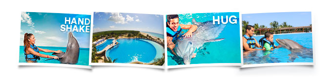 Actividades Dolphin Playa del Carmen