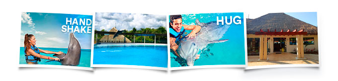 Actividades Dolphin Playa del Carmen